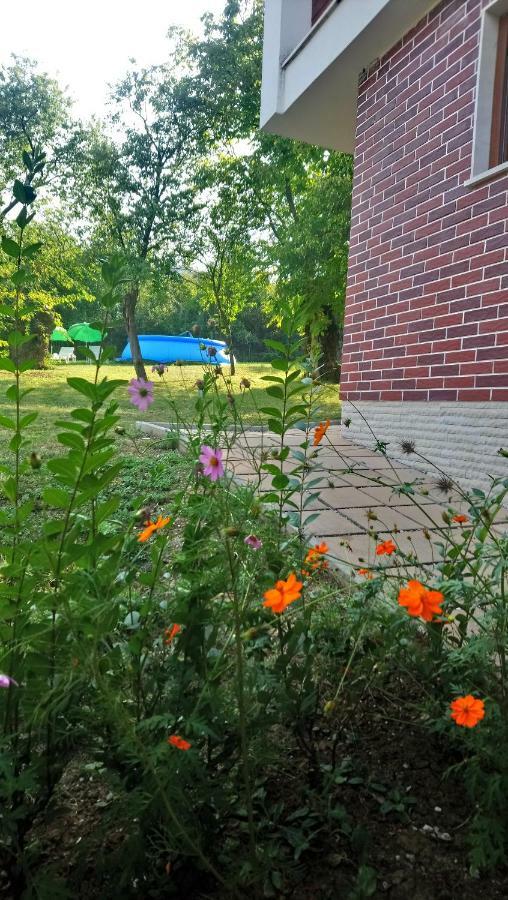 Villa Dream Dobrevtsi Zewnętrze zdjęcie